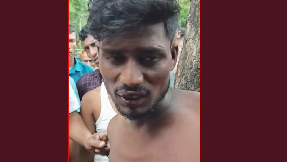 সড়কে গাছ ফেলে অ্যাম্বুলেন্সে ডাকাতি, গ্রেফতার ১