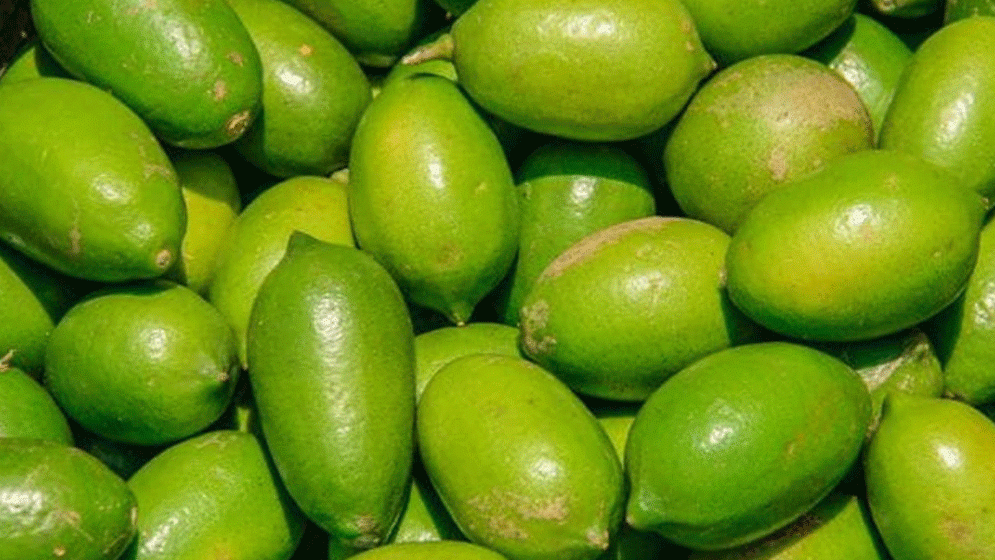 লেবুর সঙ্গে ভুলেও এই ৫ জিনিস খাবেন না