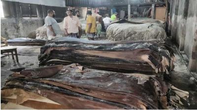 চট্টগ্রামে চামড়া বিক্রি শুরু, লাভ নিয়ে শঙ্কায় আড়তদাররা