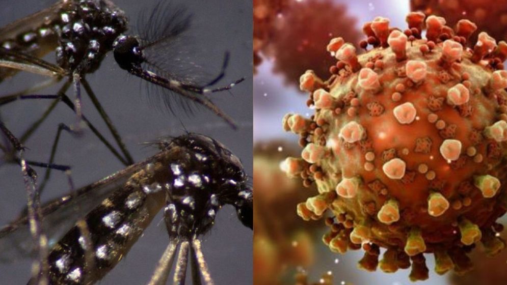 ডেঙ্গুর পাশাপাশি করোনা বাড়াচ্ছে উদ্বেগ
