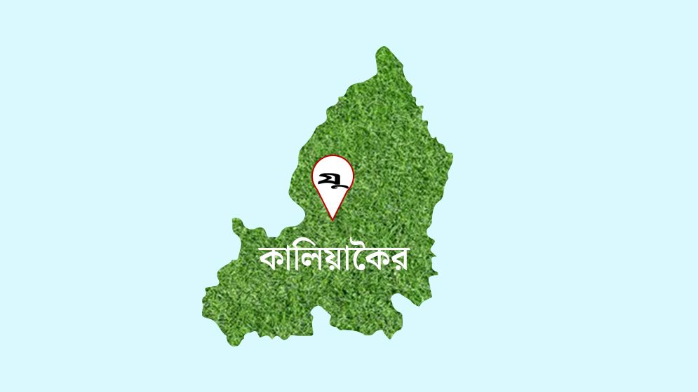 রাতে আটক উপজেলা বিএনপির সাবেক সভাপতি-সম্পাদক, সকালে সভাপতির মুক্তি