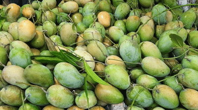 আমের পুষ্টিগুণ ও সংরক্ষণের উপায়