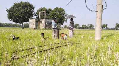 নিয়ামতপুরে এক রাতে ৩ ট্রান্সফরমার চুরি