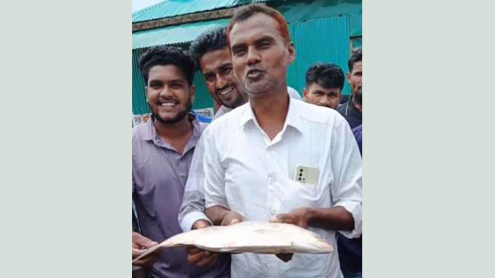 মেঘনায় ধরা পড়ল সাড়ে ৩ কেজির ইলিশ