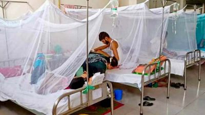 দাউদকান্দিতে ডেঙ্গু আক্রান্ত ৬ শতাধিক, ৩ জনের মৃত্যু