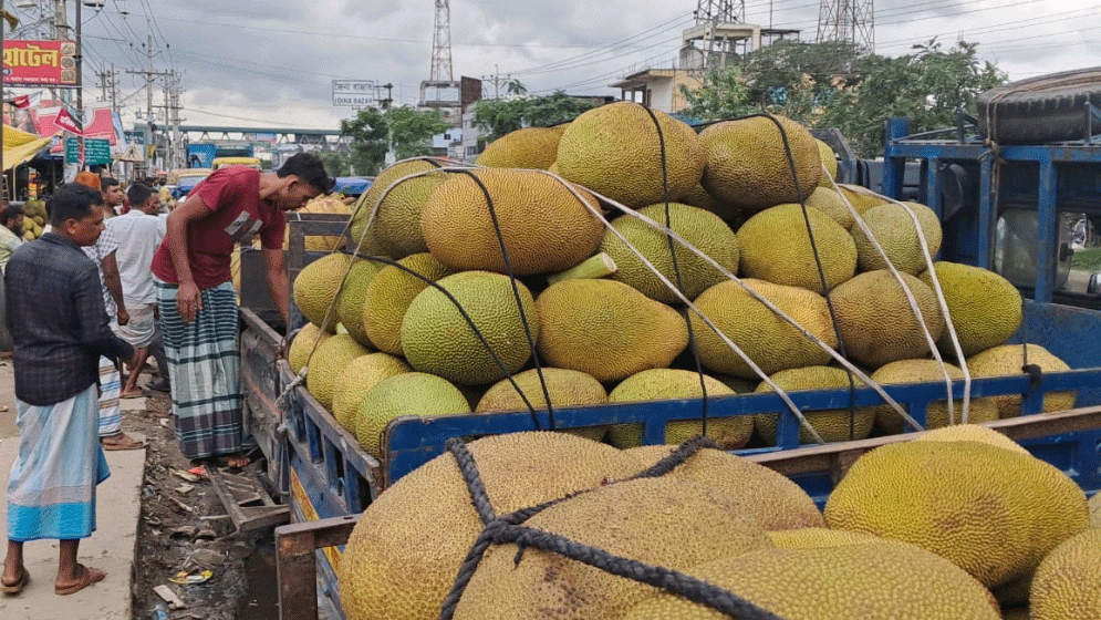 গাজীপুরের কাঁঠাল যাচ্ছে বিদেশে