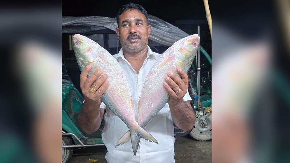 পদ্মার দুই ইলিশ বিক্রয় হলো ১৪ হাজার টাকা