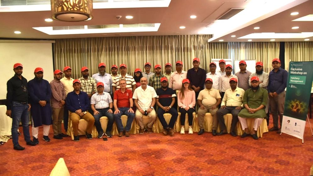 হাঁস-মুরগির বাচ্চা উৎপাদনের মাত্রাতিরিক্ত ওঠানামা এ খাতে বড় চ্যালেঞ্জ