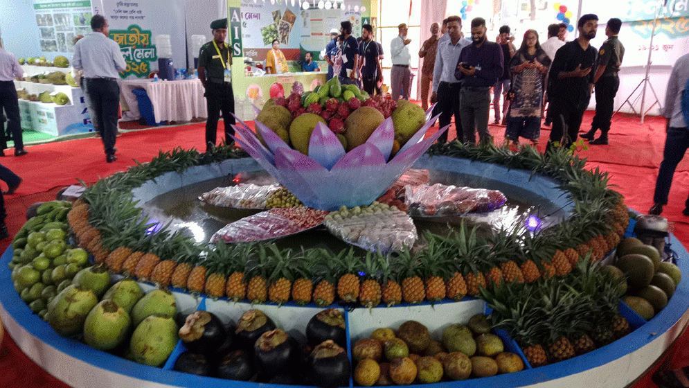 জমে উঠেছে জাতীয় ফল মেলা, চলবে আরও ২ দিন