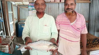 এক ইলিশের দাম ৬,৪৮০ টাকা