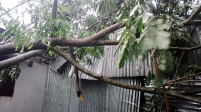 ঘূর্ণিঝড়ের আঘাতে লন্ডভন্ড সেনবাগের তিন গ্রাম, আহত ১৫