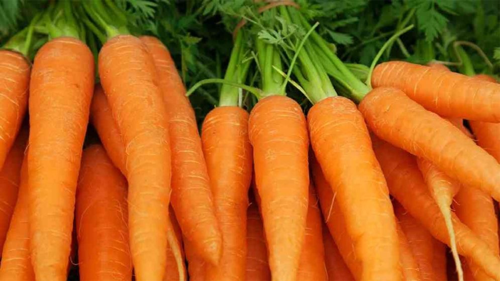 গাজর কাঁচা না সিদ্ধ, কীভাবে খাওয়া ভালো