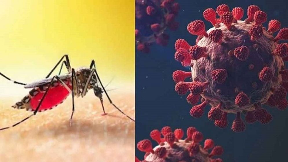 ডেঙ্গুজ্বর কোভিড ও মৌসুমি ইনফ্লুয়েঞ্জা
