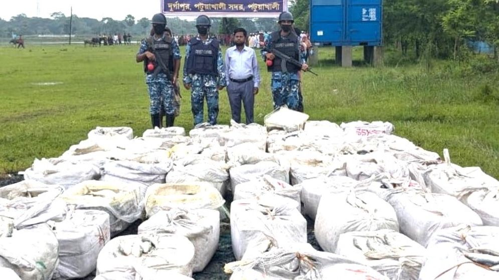 পটুয়াখালীতে আড়াই কোটি টাকার জাটকা জব্দ