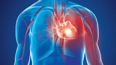 হার্টে ব্লকেজ হবে না, মৃত্যুর ঝুঁকি কমাবেন যেভাবে
