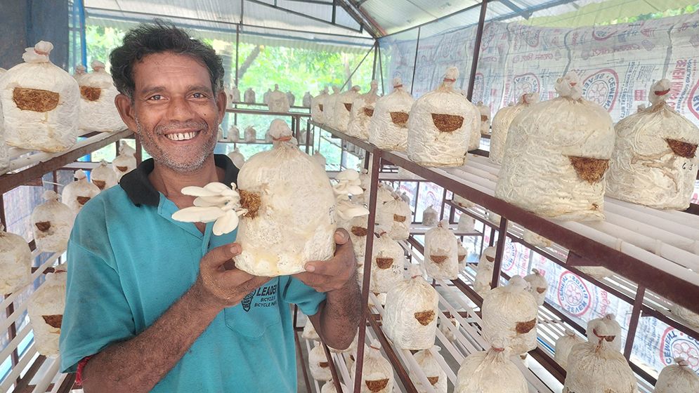 আত্মকর্মসংস্থানের পথ দেখাচ্ছে মাশরুম