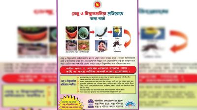 চিকুনগুনিয়া বিষয়ে সতর্ক বার্তা, ১৪০ জনের শরীরে শনাক্ত