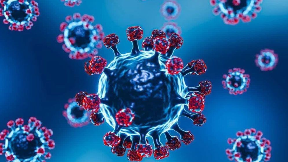 গত ২৪ ঘণ্টায় ২১ জনের করোনা শনাক্ত