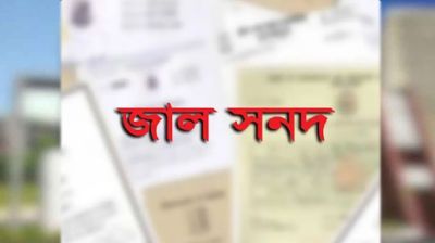 যুবলীগের প্রভাব খাটিয়ে জাল সনদে শিক্ষকতার অভিযোগ