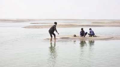হরিরামপুরের পদ্মার চর নয়নাভিরাম সৌন্দর্য