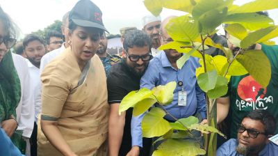 বৃক্ষরোপণ করে সবুজায়িত নগরী গড়ে তুলতে হবে: রিজওয়ানা