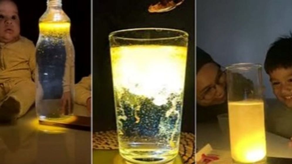 হলুদের ঝলক: সোশ্যাল মিডিয়ায় সোনালি আলোর নতুন ট্রেন্ড