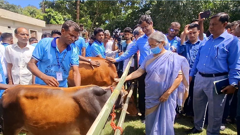 গুড়া দুধ আমদানি করা লজ্জার বিষয়: প্রাণিসম্পদ উপদেষ্টা