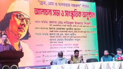 নজরুল ইনস্টিটিউট চেষ্টা করছে ভালো কিছু করার: নির্বাহী পরিচালক