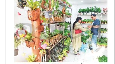 এক টুকরো সবুজের মেলা