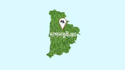 কামড়ে শিশুসহ ১২ জনকে জখম করল এক কুকুর