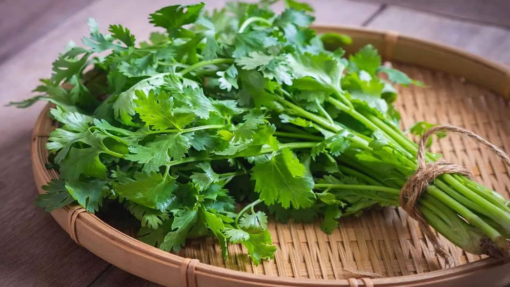 মাছ ও সবজির দাম বেড়েছে, ধনেপাতা ৩২০ টাকা কেজি