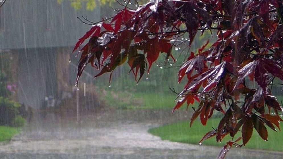 দুপুরের মধ্যে যে ৭ জেলায় ঝড়বৃষ্টির আভাস