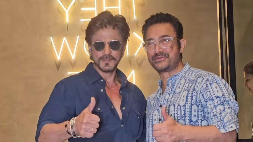 আইএমডিবি রেটিংয়ে কে এগিয়ে, আমির নাকি শাহরুখ!