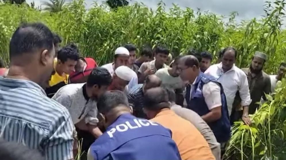 পাট খেতে মিলল নিখোঁজ বৃদ্ধের লাশ