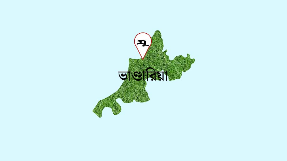ভাণ্ডারিয়ায় অস্ত্রের মুখে প্রবাসীর ঘরে ঢুকে অর্থ ও স্বর্ণালঙ্কার লুট
