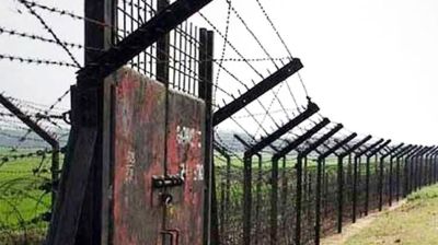 পঞ্চগড়ের দুই সীমান্ত দিয়ে ১৫ জনকে ঠেলে পাঠাল বিএসএফ