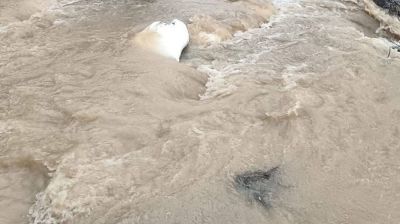 দাগনভূঞায় স্মরণকালের রেকর্ড পরিমাণ বৃষ্টি