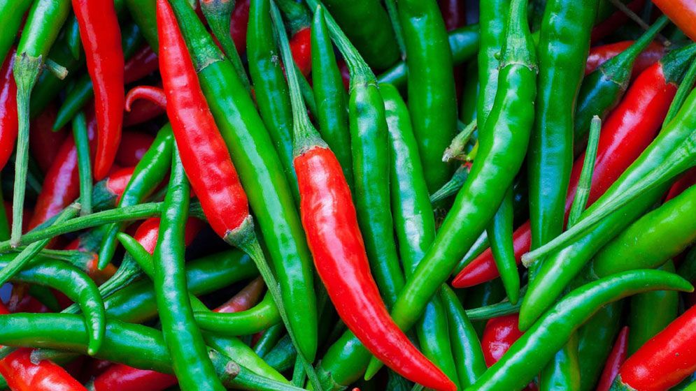 কাঁচা মরিচের দামে কাঁপছে বাজার