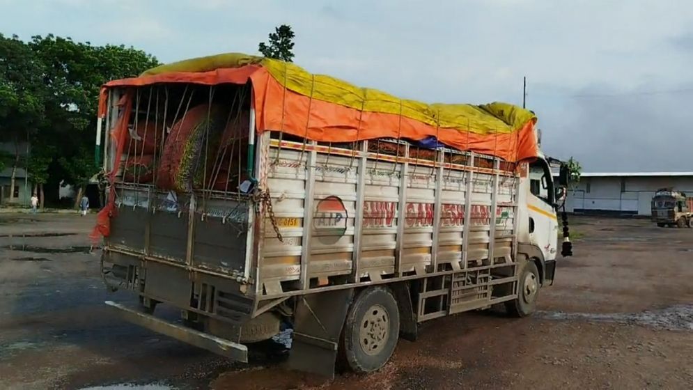 কমে আসবে কাঁচামরিচের দাম