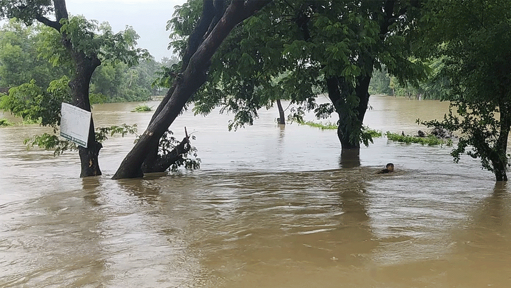 ফেনীতে নতুন নতুন এলাকা প্লাবিত