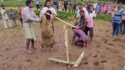 গরুর বদলে নবদম্পতিকে জোয়ালে বেঁধে হালচাষ