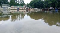 সামান্য বৃষ্টিতে সিংগাইরে স্কুল মাঠে জলাবদ্ধতা