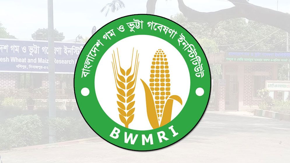 গম ও ভুট্টা গবেষণা ইনস্টিটিউটে নিয়োগ বিজ্ঞপ্তি, পদ ৫৯