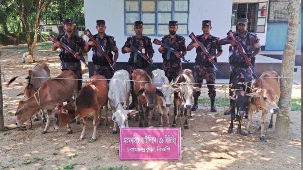 শেরপুরে ভারতীয় গরু ও পণ্য জব্দ