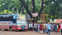 ভাড়া নিয়ে ইবি ছাত্রীকে মারধর, ৫ বাস আটক