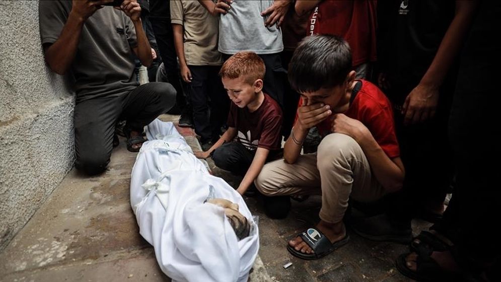 গাজায় ইসরাইলের নতুন হামলায় শিশুসহ নিহত ১৭ ফিলিস্তিনি