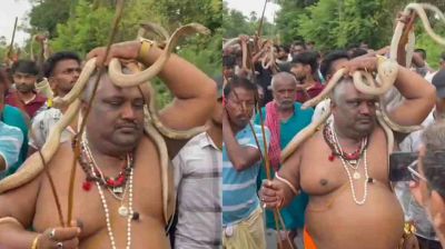 সাপ নিয়ে ধর্মীয় অনুষ্ঠানে শত শত ভক্ত, ভিডিও ভাইরাল