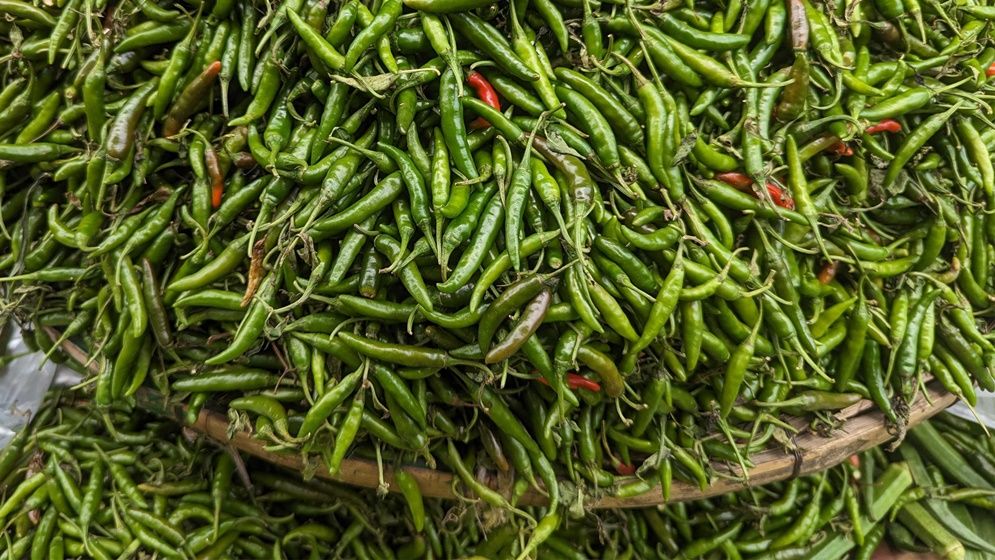 কমেছে কাঁচা মরিচের ঝাঁজ
