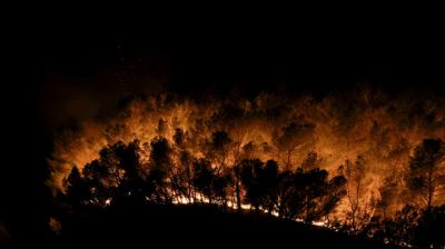 ফ্রান্সে ভয়াবহ দাবানল