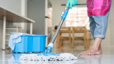 যেভাবে ঘর মুছলে আরশোলা টিকটিকি ও পিঁপড়ার উপদ্রব থেকে বাঁচবেন